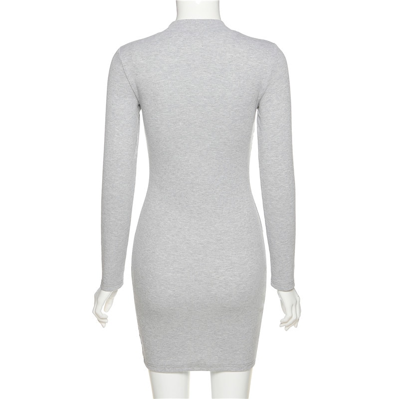 Women's Turtleneck Long Sleeved Dress Women's Turtleneck Long Sleeved Dress