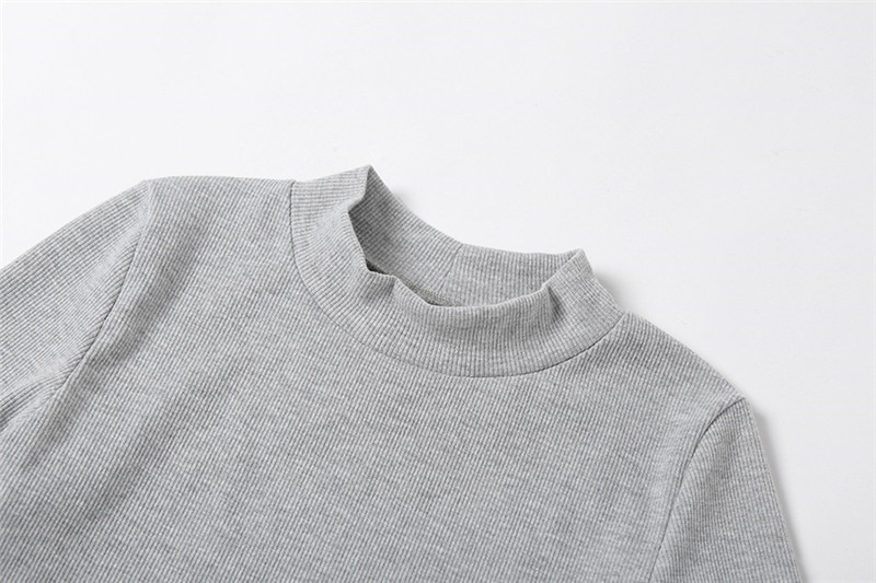 Women's Turtleneck Long Sleeved Dress Women's Turtleneck Long Sleeved Dress